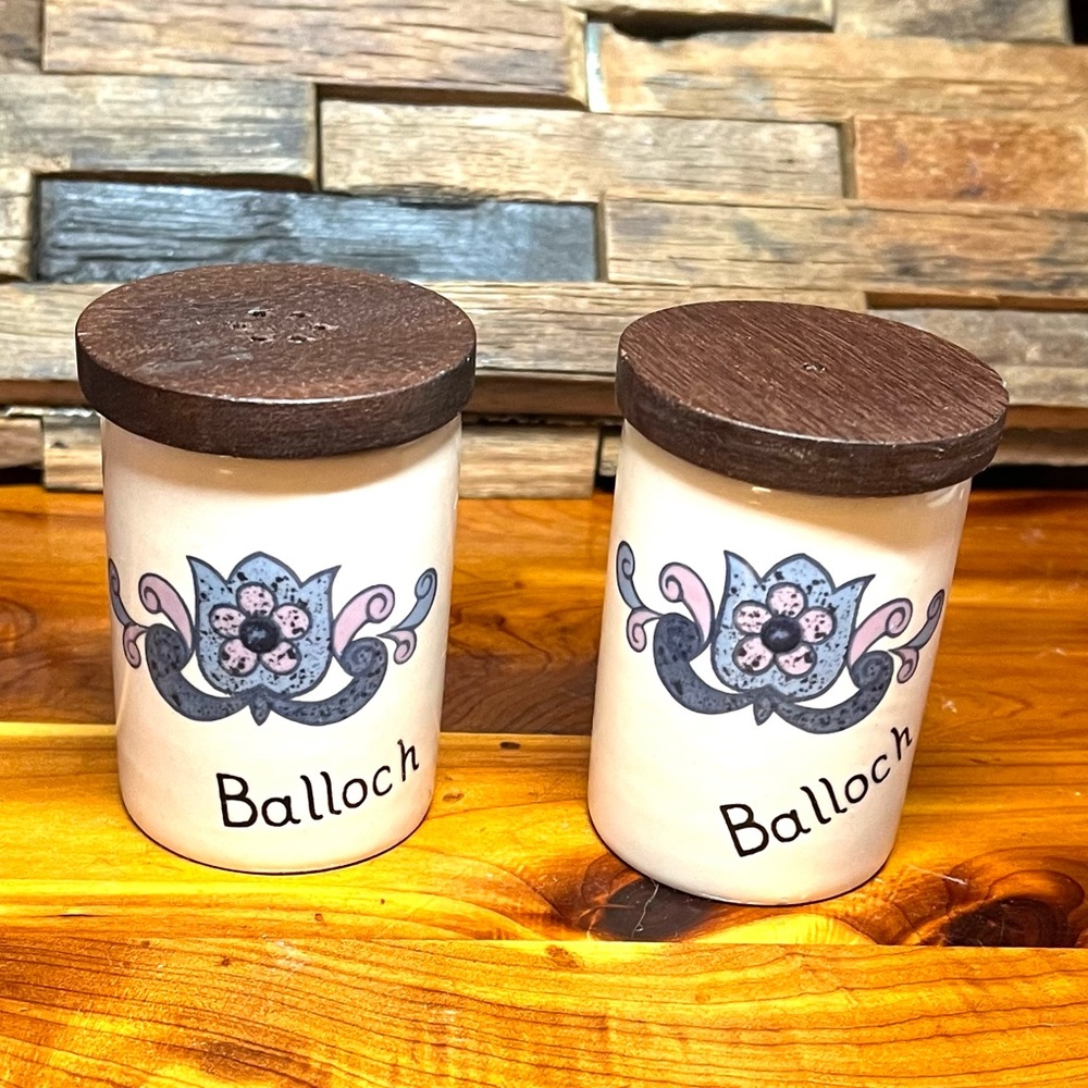 New Devon Pottery Salt Pepper Shakers Hand Painted Newton Abbott Made in England